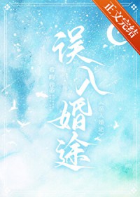 误入婚途 误入婚途