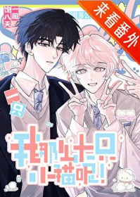 不是社畜,是猫猫 不是社畜,是猫猫